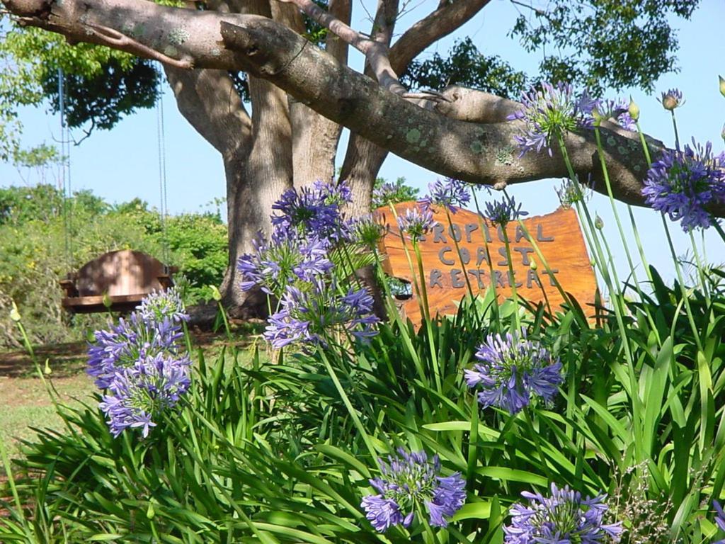 Tropical Coast Retreat - Pet Friendly - Adult Only Guest House Kingscliff Luaran gambar