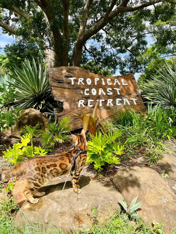 Tropical Coast Retreat - Pet Friendly - Adult Only Guest House Kingscliff Luaran gambar