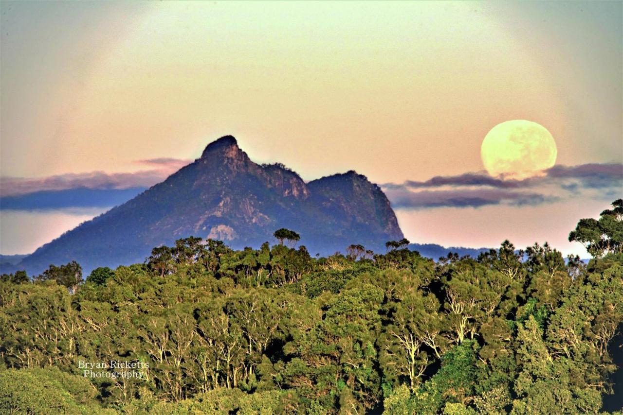 Tropical Coast Retreat - Pet Friendly - Adult Only Guest House Kingscliff Luaran gambar