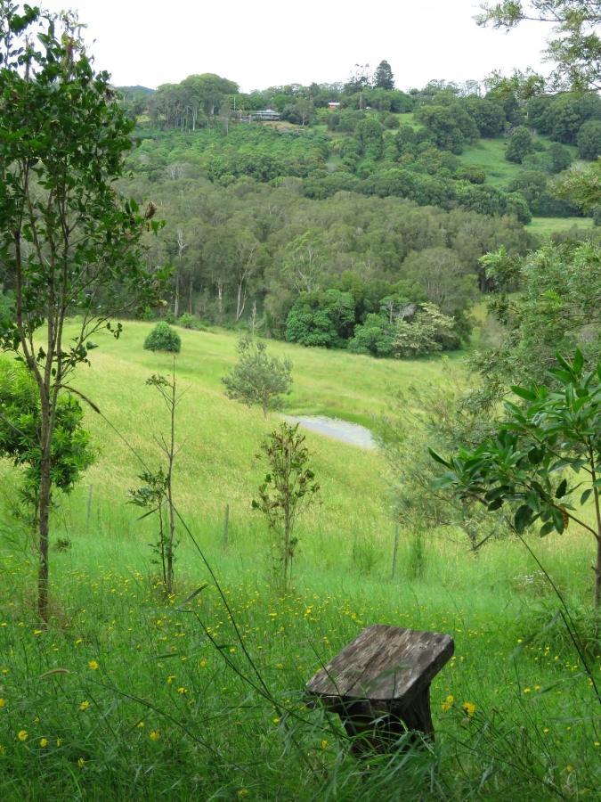 Tropical Coast Retreat - Pet Friendly - Adult Only Guest House Kingscliff Luaran gambar