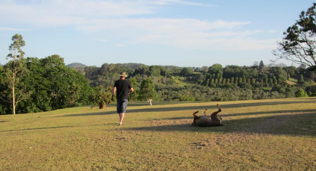 Tropical Coast Retreat - Pet Friendly - Adult Only Guest House Kingscliff Luaran gambar