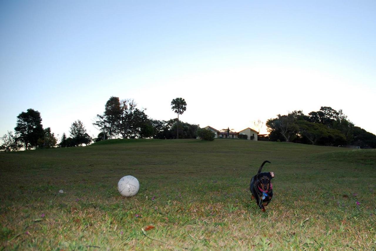 Tropical Coast Retreat - Pet Friendly - Adult Only Guest House Kingscliff Luaran gambar