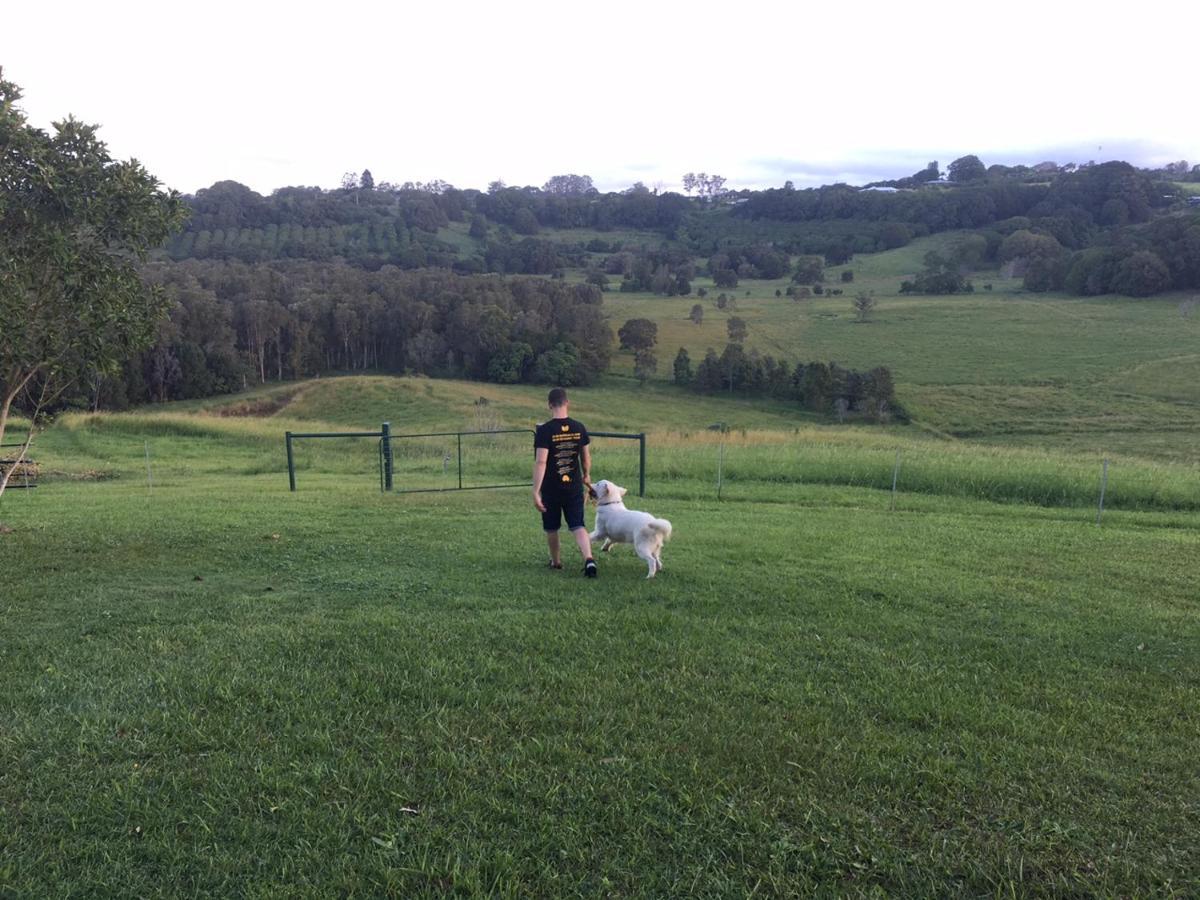 Tropical Coast Retreat - Pet Friendly - Adult Only Guest House Kingscliff Luaran gambar