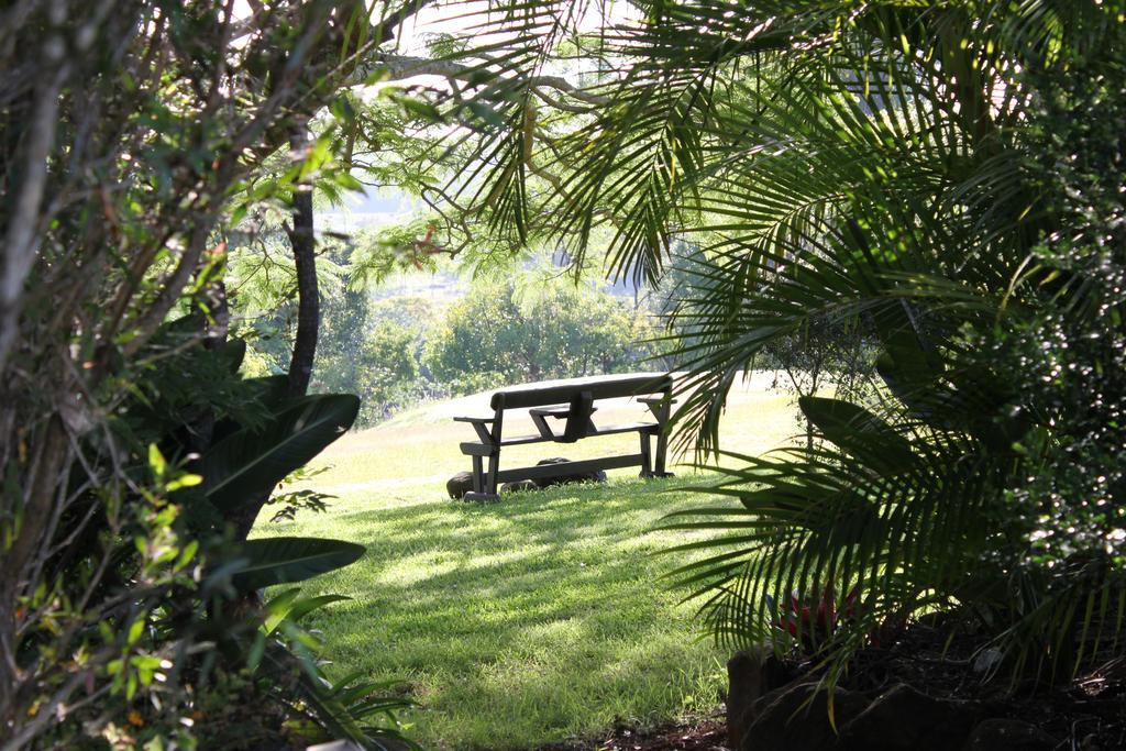 Tropical Coast Retreat - Pet Friendly - Adult Only Guest House Kingscliff Luaran gambar