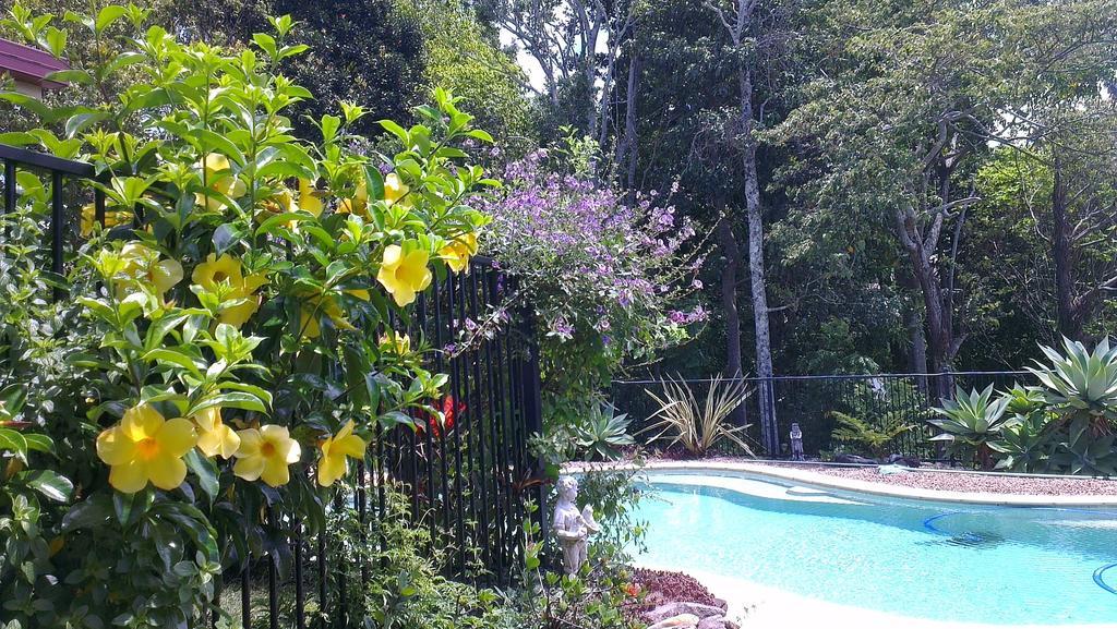 Tropical Coast Retreat - Pet Friendly - Adult Only Guest House Kingscliff Luaran gambar