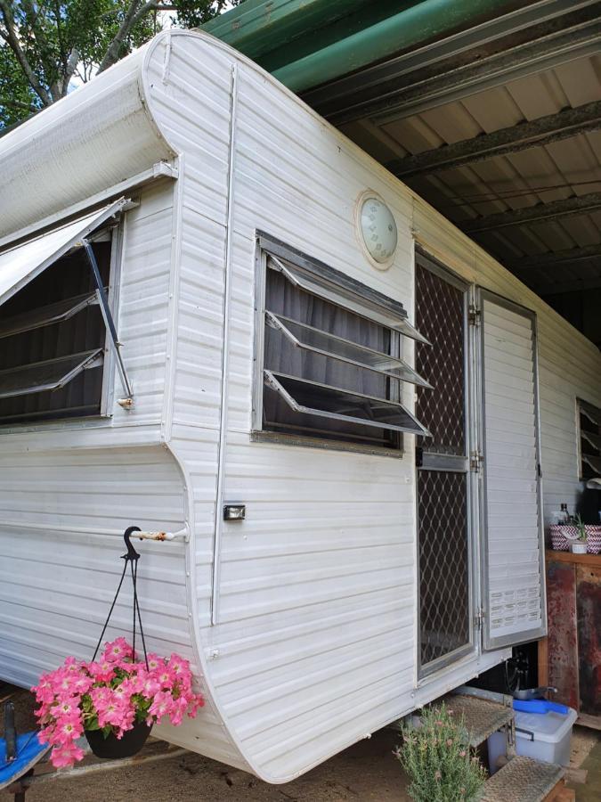 Tropical Coast Retreat - Pet Friendly - Adult Only Guest House Kingscliff Bilik gambar
