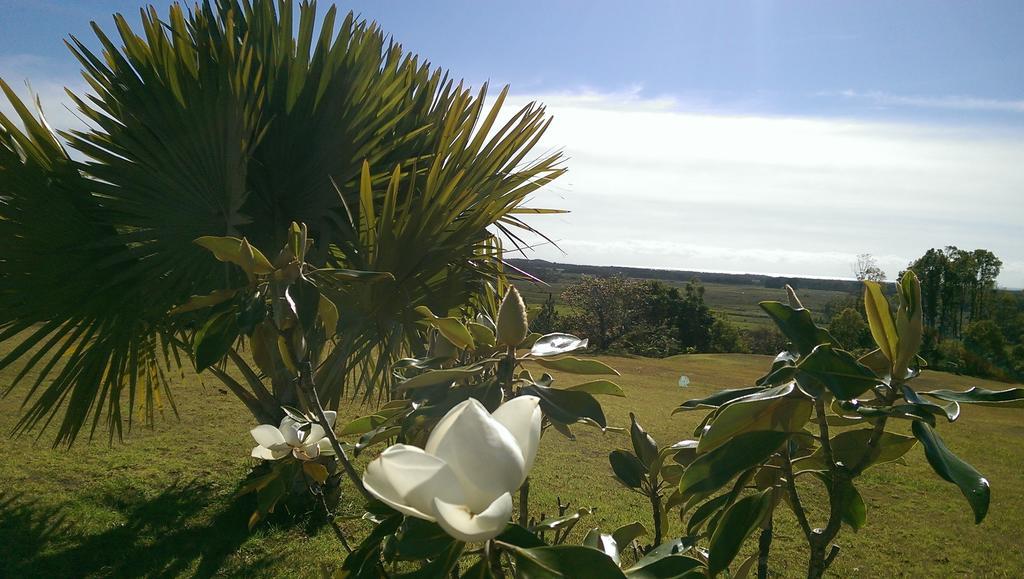 Tropical Coast Retreat - Pet Friendly - Adult Only Guest House Kingscliff Luaran gambar