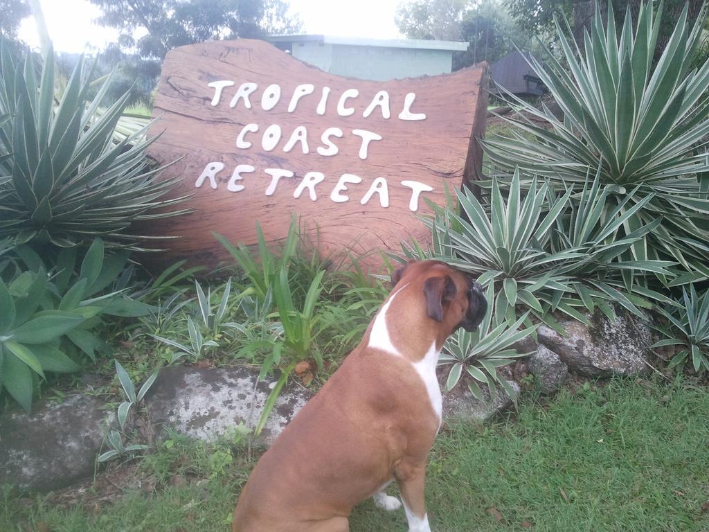 Tropical Coast Retreat - Pet Friendly - Adult Only Guest House Kingscliff Luaran gambar